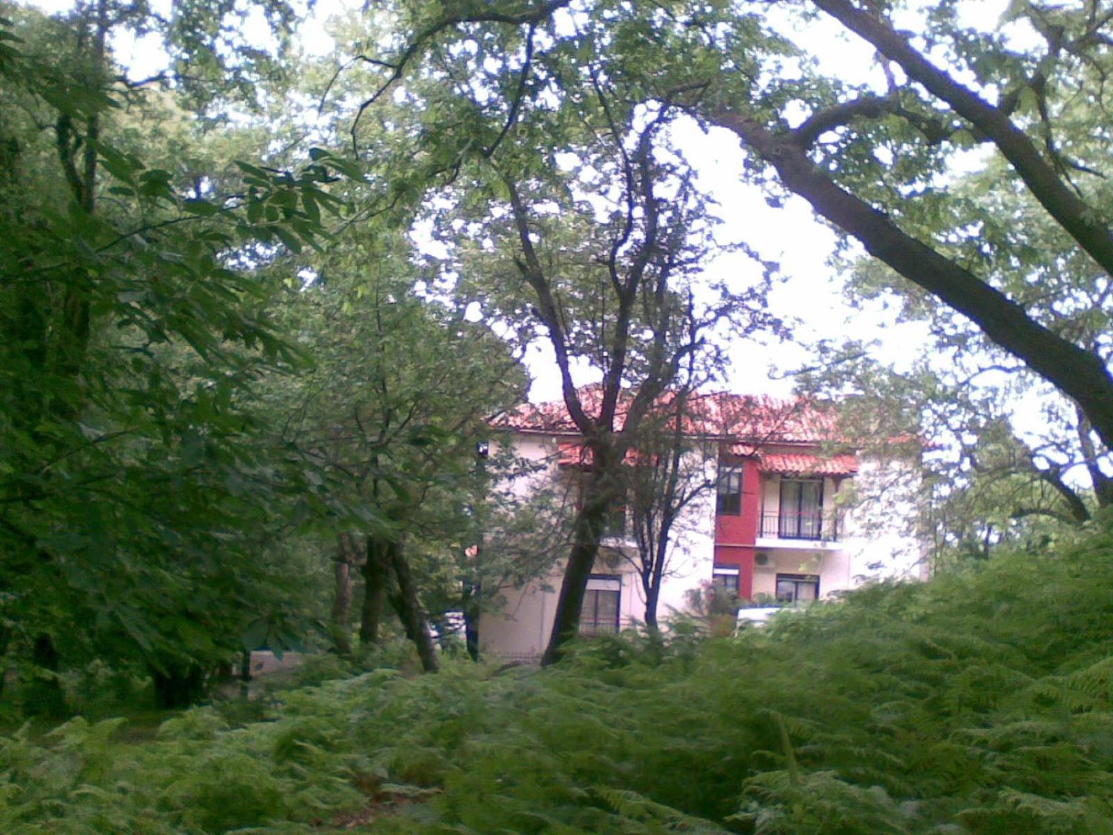 Orpheus Hotel Therma (Samothraki) Exterior foto
