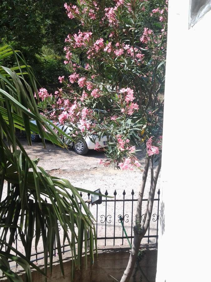 Orpheus Hotel Therma (Samothraki) Exterior foto